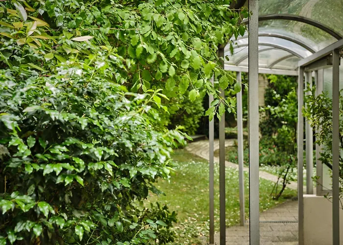 Abaca Messidor By Happyculture